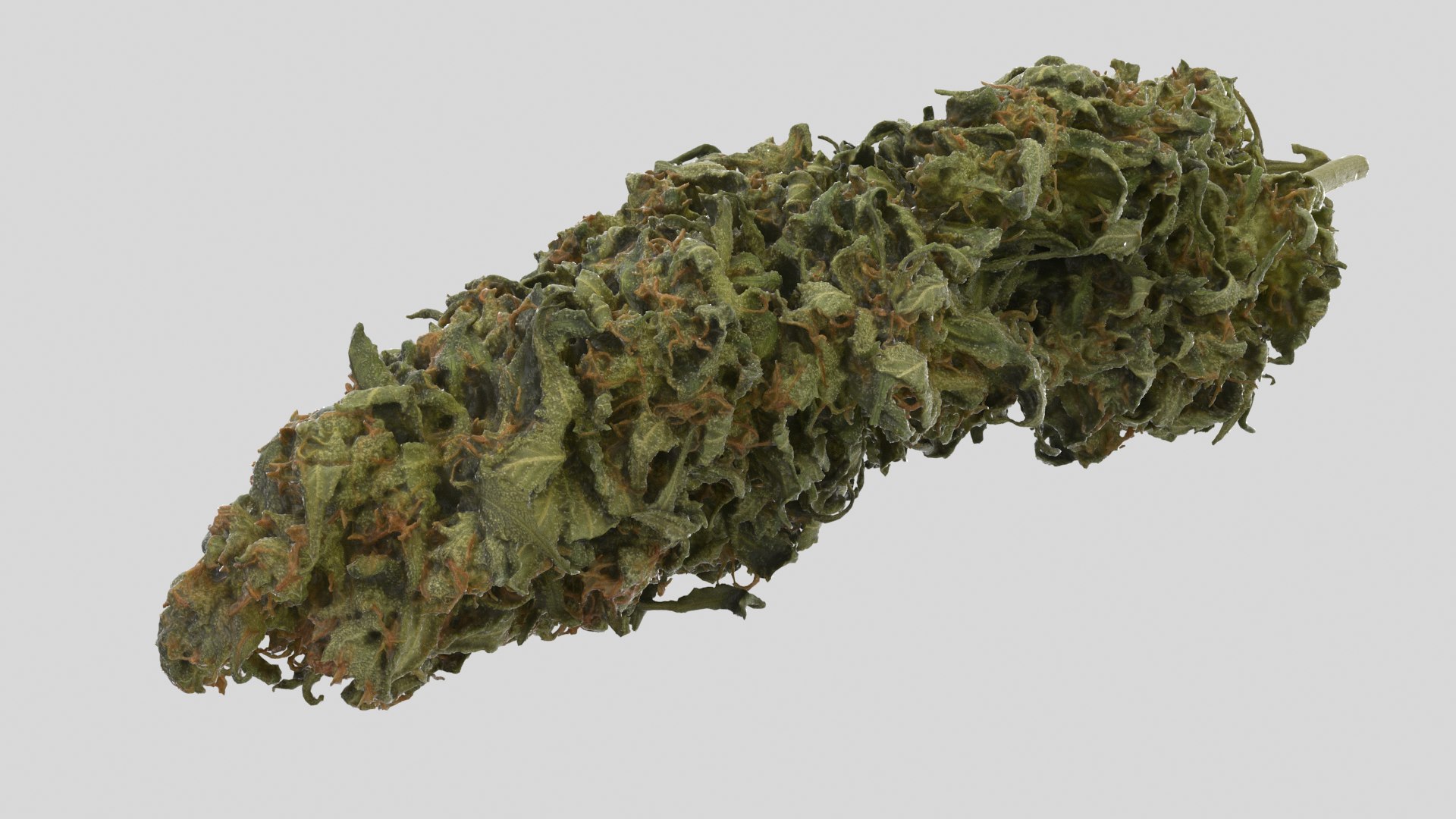 cannabis cola model https://p.turbosquid.com/ts-thumb/Yv/TWOVew/dV/cola_r5ss/png/1617058936/1920x1080/fit_q87/74376fd4aed11a3b38f951307a034b340b651035/cola_r5ss.jpg