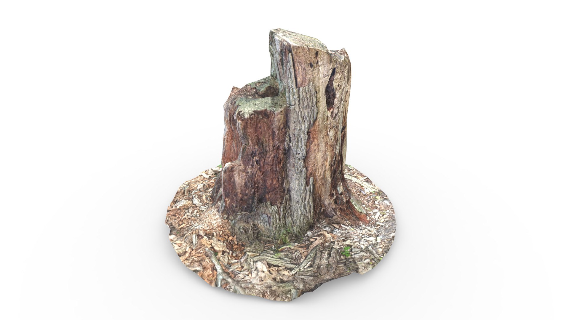 Tree Trunk 3D model - TurboSquid 1732143