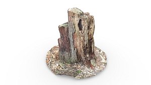 Tree Trunk 3D model