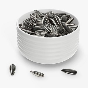 3D seed bowl sunflower model