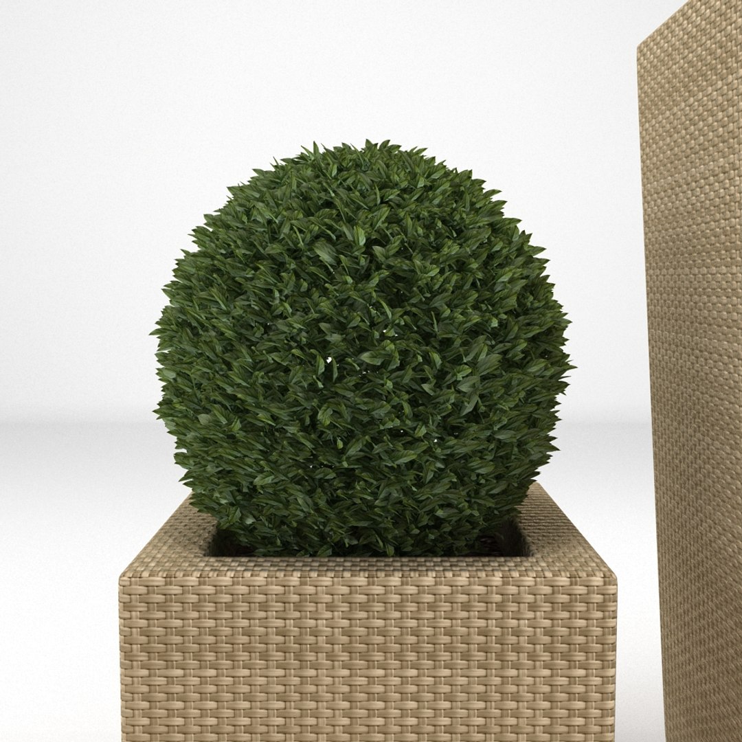 3d max box trees leafs