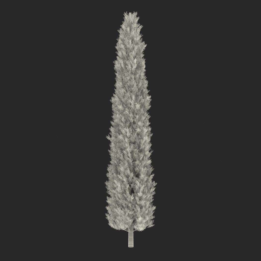 3d Cypress Tree 2 Model