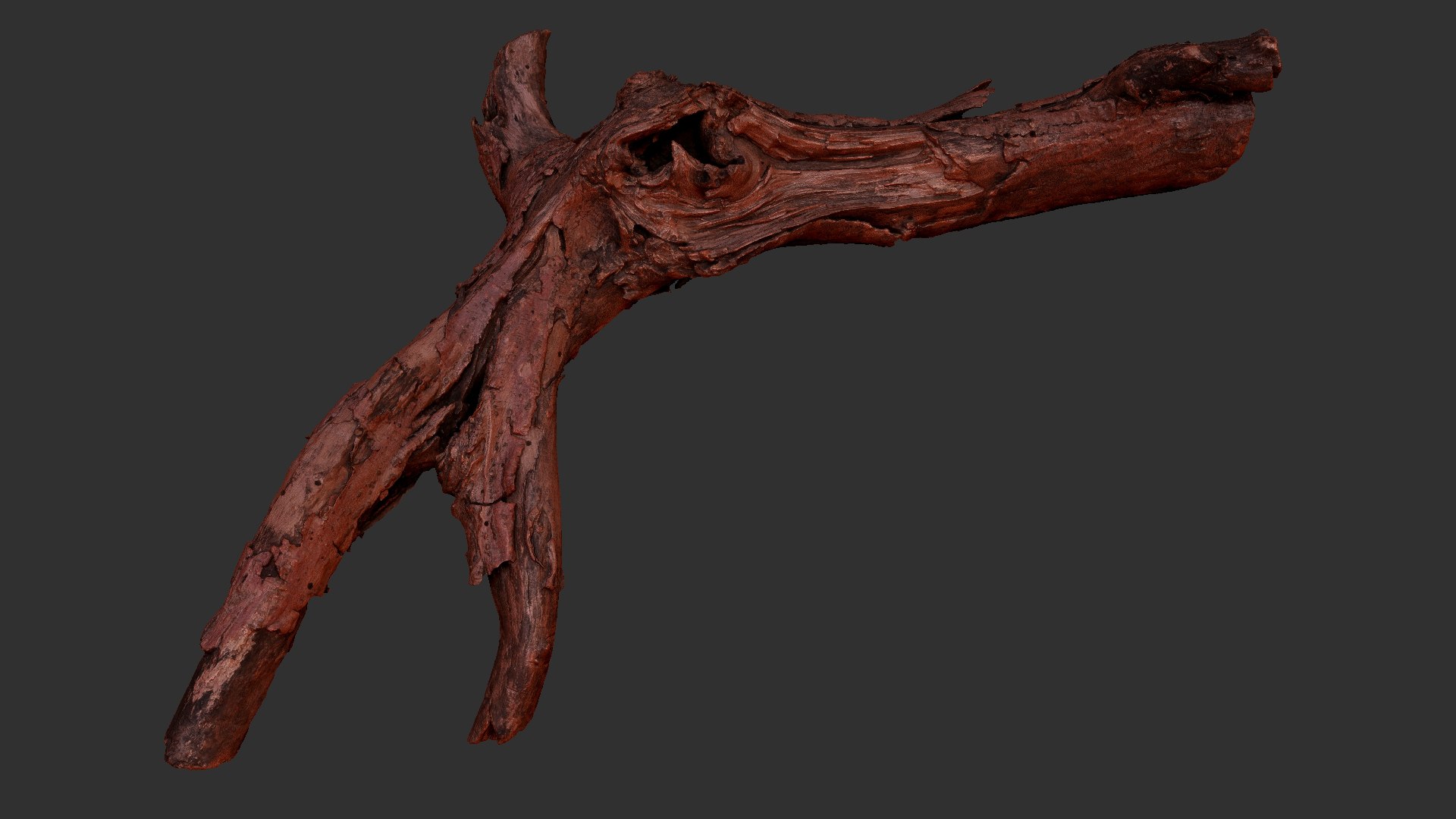Realistic Tree Branch Wood Trunk 3D Scan highpoly 3D model https://p.turbosquid.com/ts-thumb/Yv/m2zdU7/6m/scr17/jpg/1764211412/1920x1080/fit_q87/e38f5ed370227130d8b55f15cff4acf9e6bf24c4/scr17.jpg