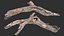 Realistic Tree Branch Wood Trunk 3D Scan highpoly