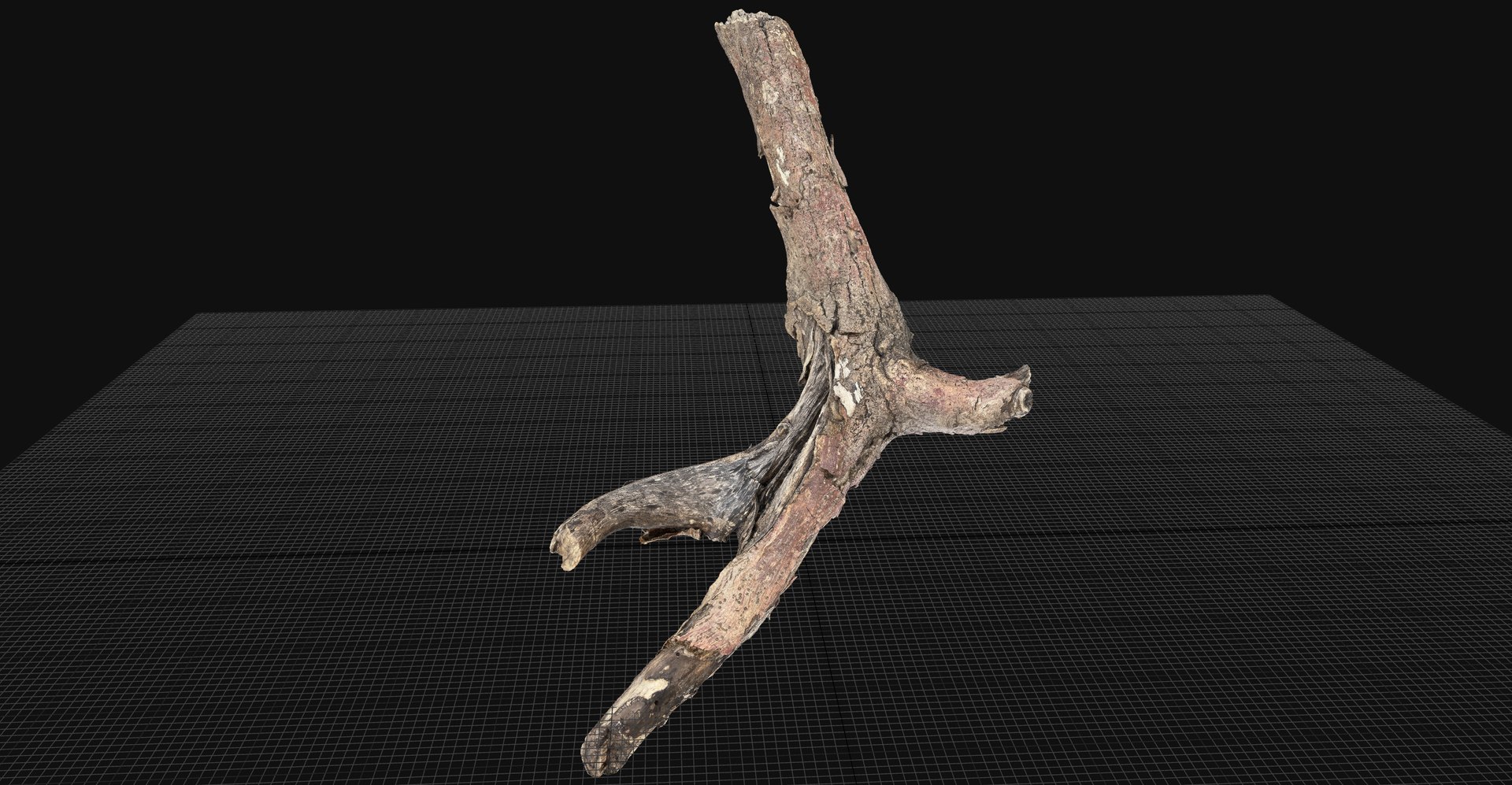 Realistic Tree Branch Wood Trunk 3D Scan highpoly 3D model https://p.turbosquid.com/ts-thumb/Yv/m2zdU7/EC/scr03/jpg/1764211402/1920x1080/fit_q87/085ee27ba2d7d964a7ef69e69e3cef3b1b32704b/scr03.jpg