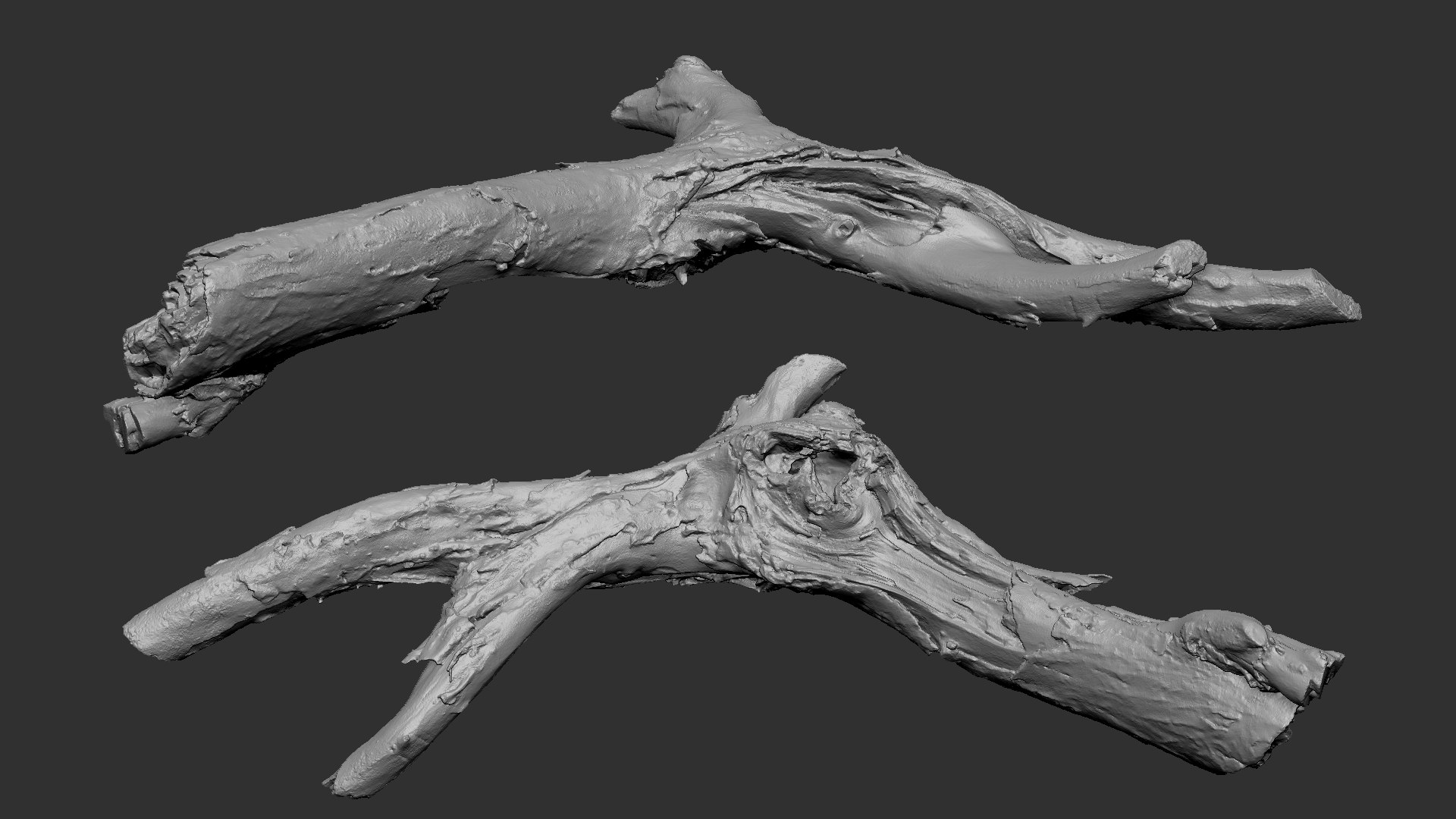 Realistic Tree Branch Wood Trunk 3D Scan highpoly 3D model https://p.turbosquid.com/ts-thumb/Yv/m2zdU7/GX/scr19/jpg/1764211414/1920x1080/fit_q87/83bd420bac7b6ef3e97c3678597c8b2cc6d6c597/scr19.jpg
