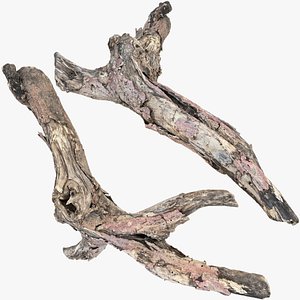 Realistic Tree Branch Wood Trunk 3D Scan highpoly 3D model