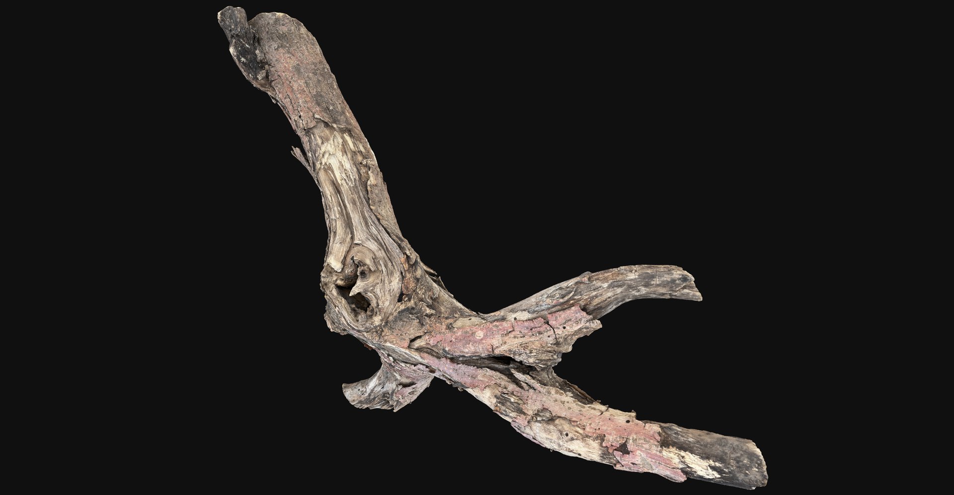 Realistic Tree Branch Wood Trunk 3D Scan highpoly 3D model https://p.turbosquid.com/ts-thumb/Yv/m2zdU7/MN/scr12/jpg/1764211409/1920x1080/fit_q87/b72f206a5867b78831aaa30cd31b65f206ae63a6/scr12.jpg