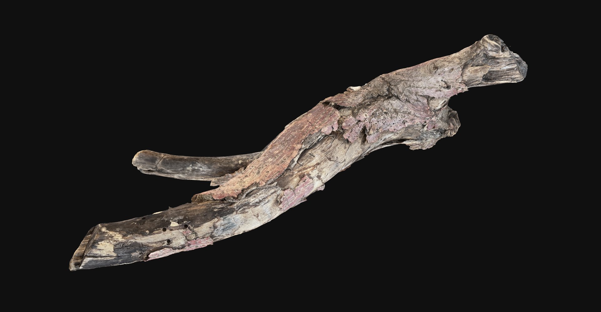 Realistic Tree Branch Wood Trunk 3D Scan highpoly 3D model https://p.turbosquid.com/ts-thumb/Yv/m2zdU7/QU/scr14/jpg/1764211411/1920x1080/fit_q87/7490b3c2b14dce52ad32395201a37a747b40d208/scr14.jpg