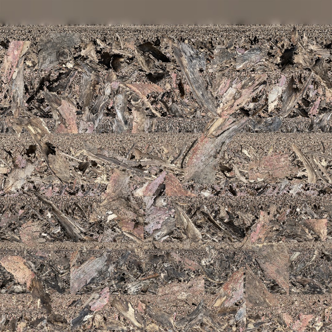 Realistic Tree Branch Wood Trunk 3D Scan highpoly 3D model https://p.turbosquid.com/ts-thumb/Yv/m2zdU7/Sn/scr24/jpg/1764211421/1920x1080/fit_q87/dafa12a204a0c88ea2ca912423e1e8e30dce5935/scr24.jpg