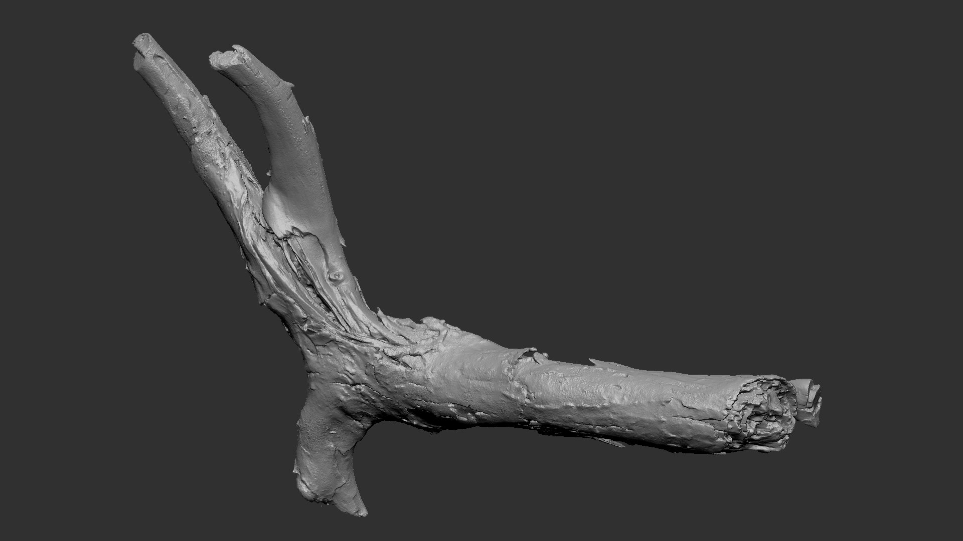 Realistic Tree Branch Wood Trunk 3D Scan highpoly 3D model https://p.turbosquid.com/ts-thumb/Yv/m2zdU7/Vj/scr21/jpg/1764211415/1920x1080/fit_q87/f074565a94737e92e3b195aa67b5b3bcebeab2cf/scr21.jpg