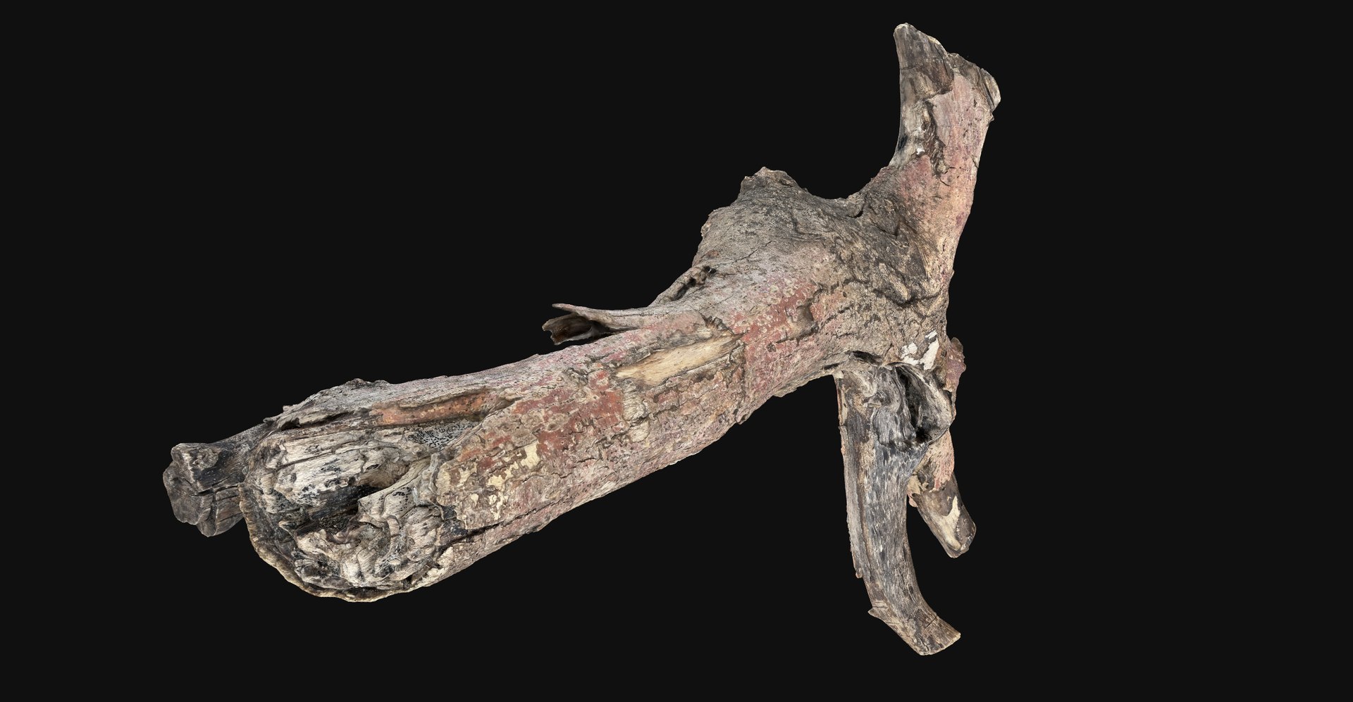 Realistic Tree Branch Wood Trunk 3D Scan highpoly 3D model https://p.turbosquid.com/ts-thumb/Yv/m2zdU7/XW/scr10/jpg/1764211408/1920x1080/fit_q87/38a2d2d34c975dc701bee8d6ffba0089ee909e4e/scr10.jpg