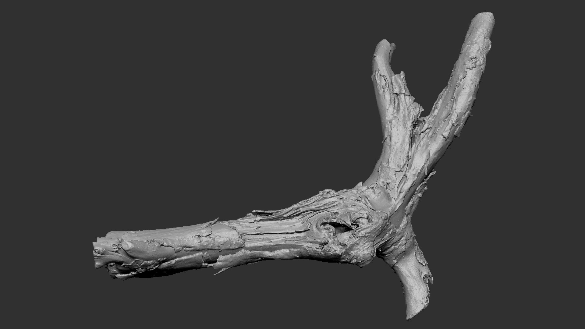 Realistic Tree Branch Wood Trunk 3D Scan highpoly 3D model https://p.turbosquid.com/ts-thumb/Yv/m2zdU7/bl/scr20/jpg/1764211415/1920x1080/fit_q87/b7b153d28cae35997a58f3c8a83ba4112075bb27/scr20.jpg
