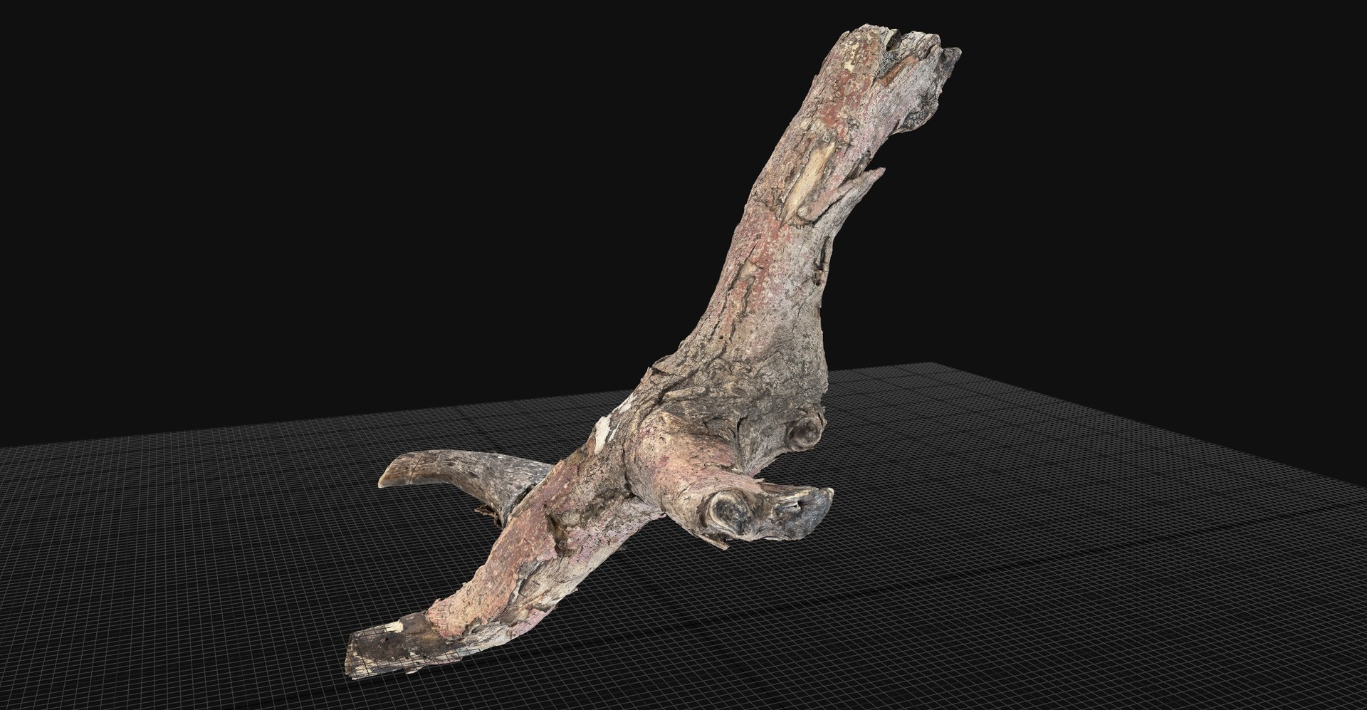 Realistic Tree Branch Wood Trunk 3D Scan highpoly 3D model https://p.turbosquid.com/ts-thumb/Yv/m2zdU7/eW/scr01/jpg/1764211401/1920x1080/fit_q87/4079bd943c89e4bdc43baae5ee385cf0123091a0/scr01.jpg