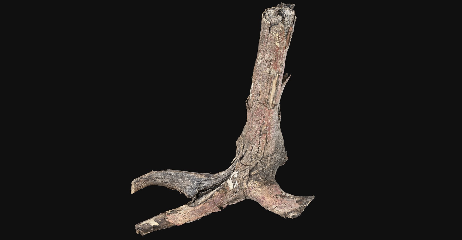 Realistic Tree Branch Wood Trunk 3D Scan highpoly 3D model https://p.turbosquid.com/ts-thumb/Yv/m2zdU7/gx/scr13/jpg/1764211410/1920x1080/fit_q87/f02afbb9ea358f56945d1b2425927a0a7082219d/scr13.jpg