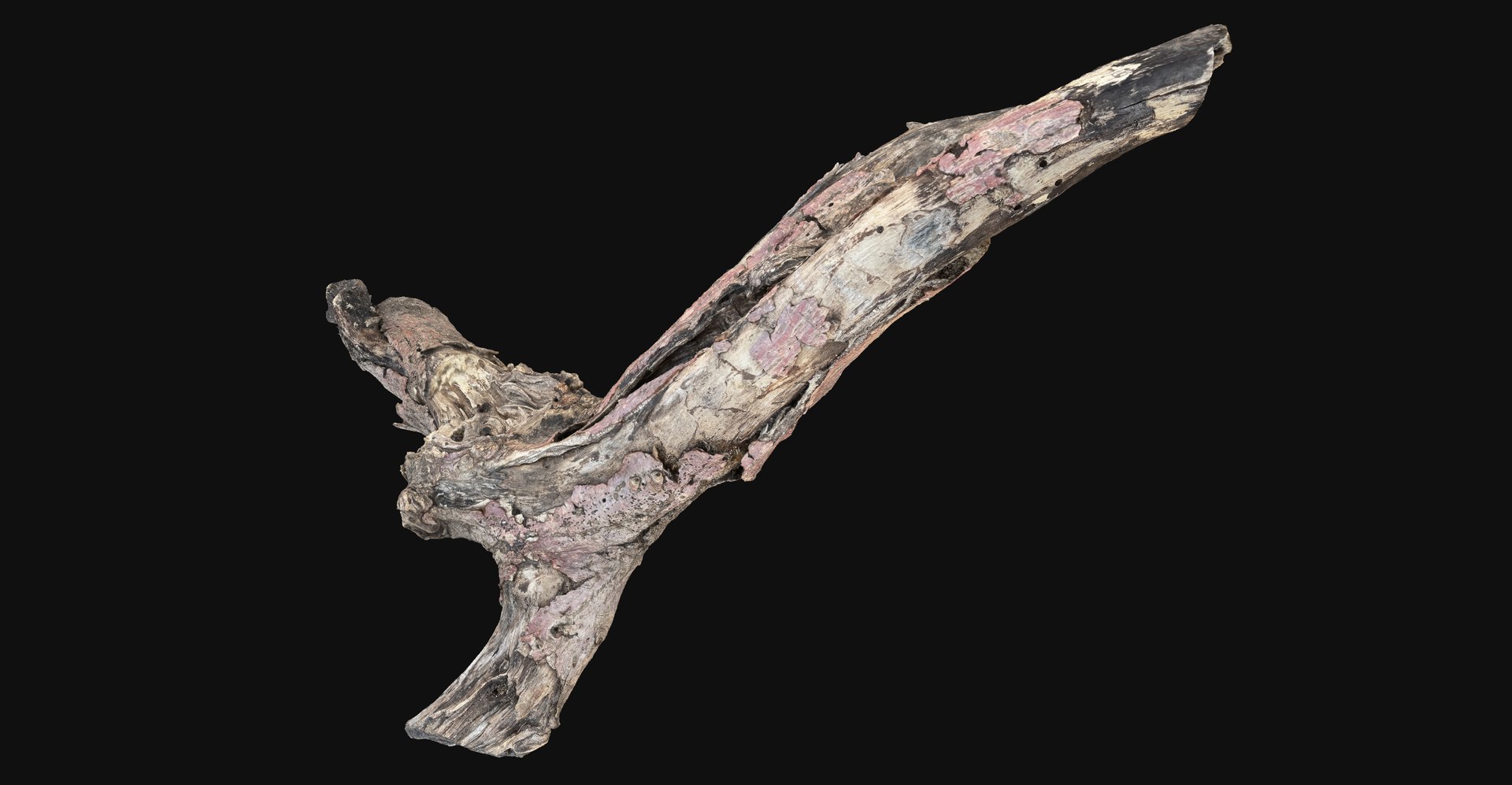 Realistic Tree Branch Wood Trunk 3D Scan highpoly 3D model https://p.turbosquid.com/ts-thumb/Yv/m2zdU7/nQ/scr05/jpg/1764211403/1920x1080/fit_q87/acc576ab05f2e8434c7c159cdda25755a742f698/scr05.jpg