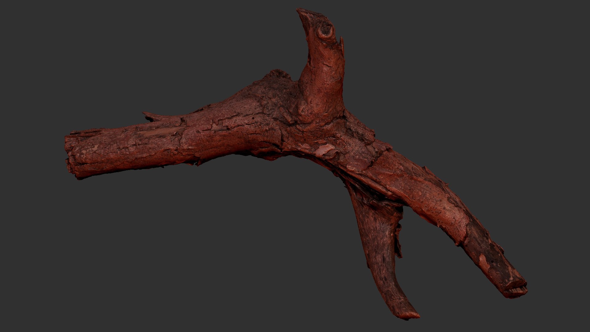 Realistic Tree Branch Wood Trunk 3D Scan highpoly 3D model https://p.turbosquid.com/ts-thumb/Yv/m2zdU7/xU/scr18/jpg/1764211413/1920x1080/fit_q87/f9f252f2a2a9f66ca28aa3e64079da8e7f0c67ec/scr18.jpg