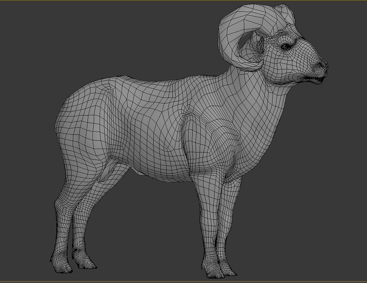 3D Bighorn sheep https://p.turbosquid.com/ts-thumb/Yv/qVI2ot/PB/wire2/jpg/1707243173/1920x1080/fit_q87/96b70eacbb94cb691e2bbbb9bd106d5372047507/wire2.jpg