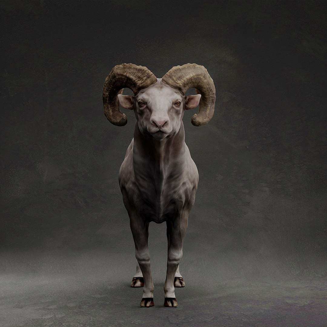 3D Bighorn sheep https://p.turbosquid.com/ts-thumb/Yv/qVI2ot/SK/3/jpg/1707243168/1920x1080/fit_q87/9b12a3877771cce53afb4dec309cfc6cb2b79b04/3.jpg