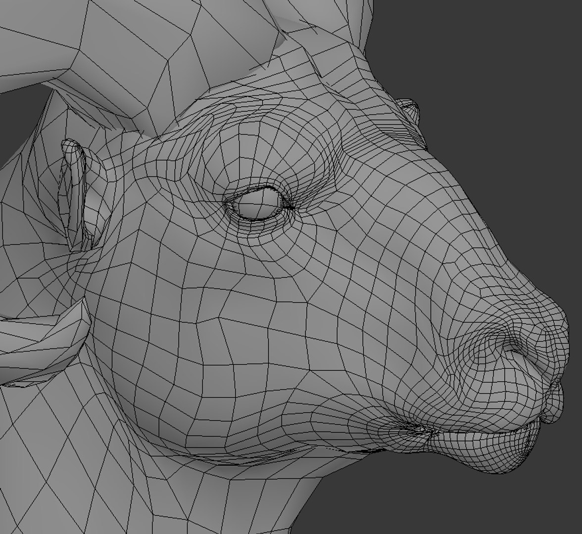 3D Bighorn sheep https://p.turbosquid.com/ts-thumb/Yv/qVI2ot/xV/wire1/jpg/1707243172/1920x1080/fit_q87/3f693cb357f4bdeb72e732963a22d3332a5c711f/wire1.jpg