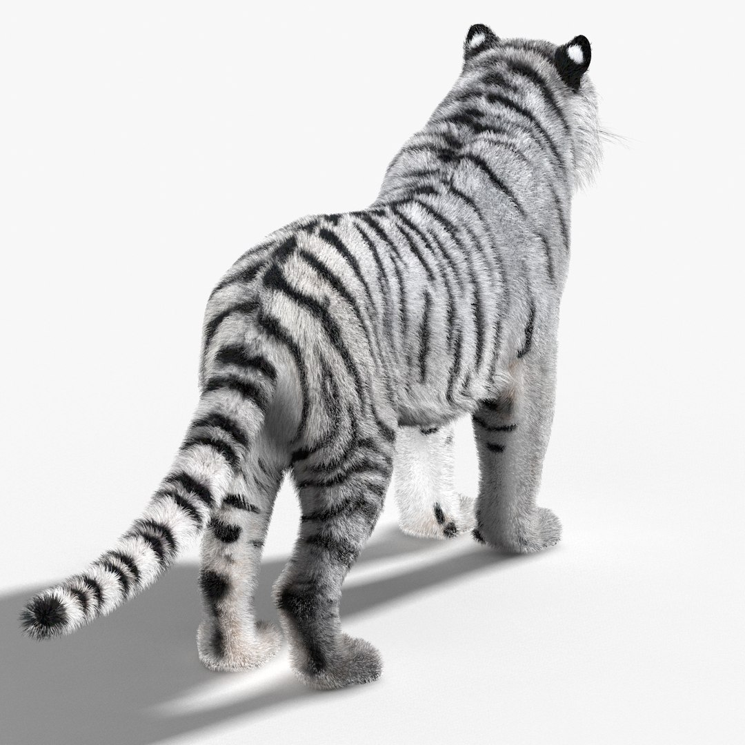 tiger white fur 3d obj https://p.turbosquid.com/ts-thumb/Yv/qlXFum/UoHEydOt/tiger07/jpg/1428264804/1920x1080/fit_q87/a923756ac9697a45a2828ee0bdf480983270ca1b/tiger07.jpg