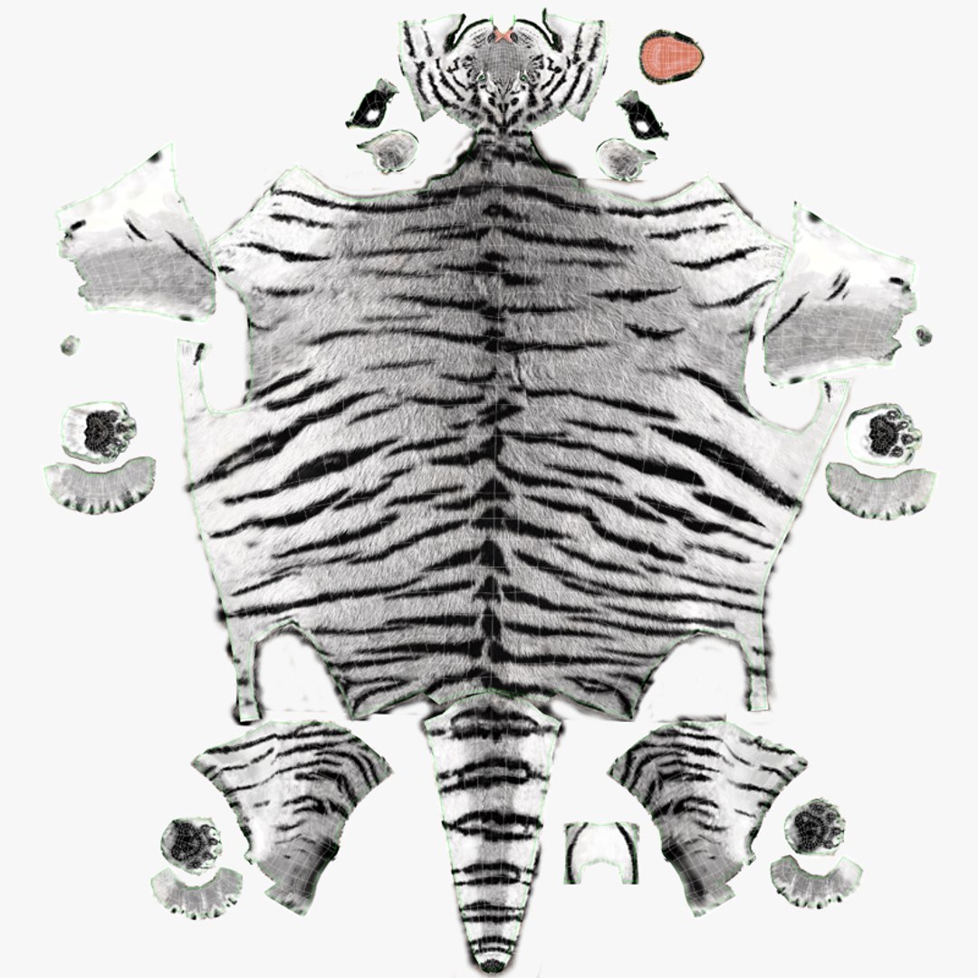 tiger white fur 3d obj https://p.turbosquid.com/ts-thumb/Yv/qlXFum/Vte4HFRp/uvs_tiger19/jpg/1428264805/1920x1080/fit_q87/c7777e5b70614ba5b33408195c2d465bf72f5c49/uvs_tiger19.jpg