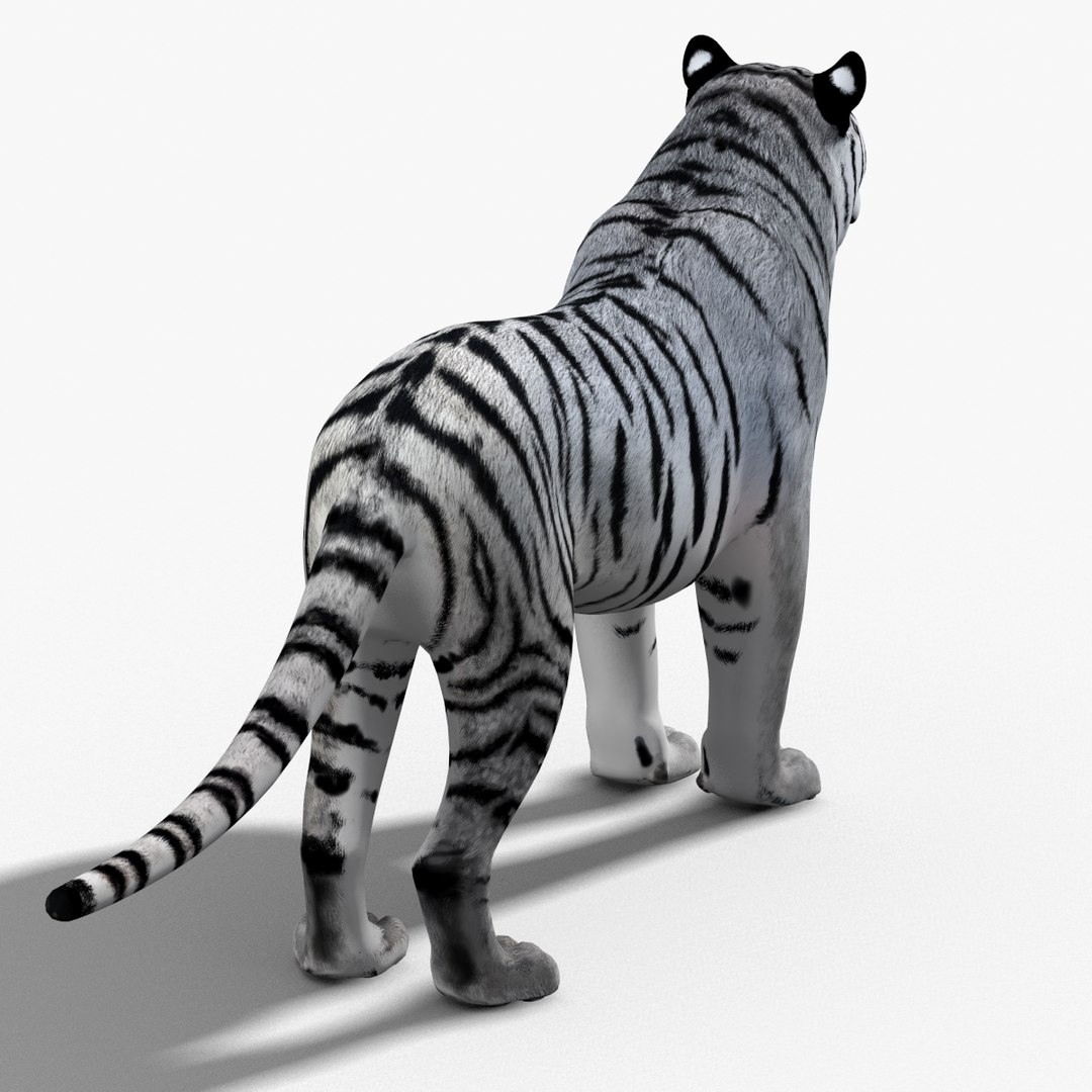 tiger white fur 3d obj https://p.turbosquid.com/ts-thumb/Yv/qlXFum/sc6xPlSv/tiger14/jpg/1428264804/1920x1080/fit_q87/26bb116a5e533d70368e03a5624982858e74e02c/tiger14.jpg