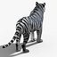 Tiger White Fur