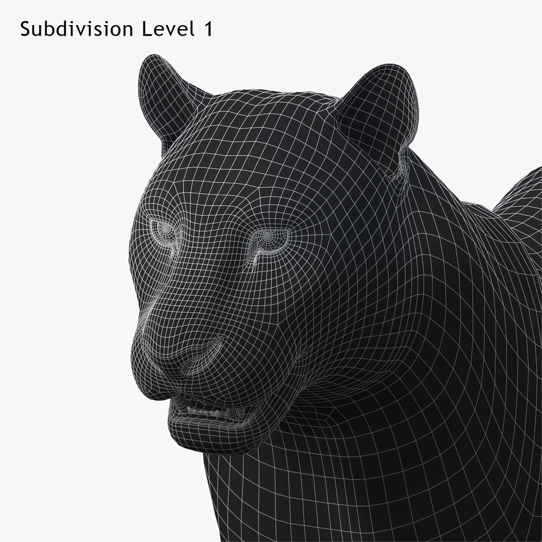 tiger white fur 3d obj https://p.turbosquid.com/ts-thumb/Yv/qlXFum/uO72VpB2/tiger20/jpg/1428264805/1920x1080/fit_q87/957ec9d53c57b5478055e13077537bb744262395/tiger20.jpg
