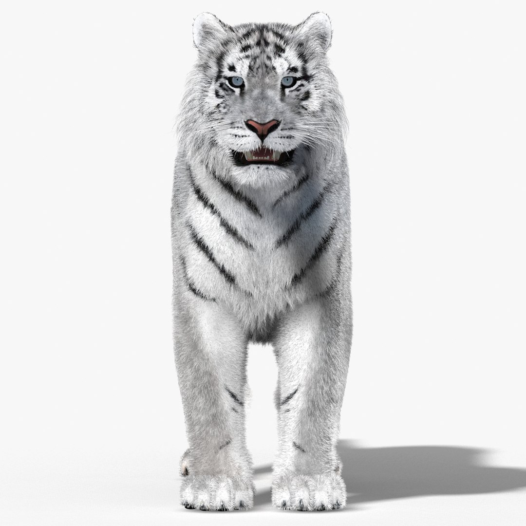 tiger white fur 3d obj https://p.turbosquid.com/ts-thumb/Yv/qlXFum/wss3Th97/tiger04/jpg/1428264804/1920x1080/fit_q87/915c7b16060bf1da9a7df83553352633b98e5a0b/tiger04.jpg