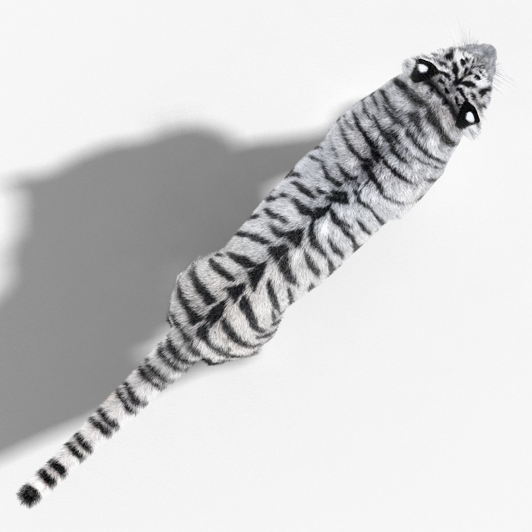 tiger white fur 3d obj https://p.turbosquid.com/ts-thumb/Yv/qlXFum/yR4VF548/tiger08/jpg/1428264804/1920x1080/fit_q87/2cf94337fdc3c430be3811812c411742e19c3735/tiger08.jpg