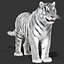 Tiger White Fur