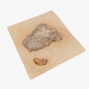 Beach Rock Scan 13 16K