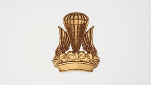 Emblem Symbol 3D model