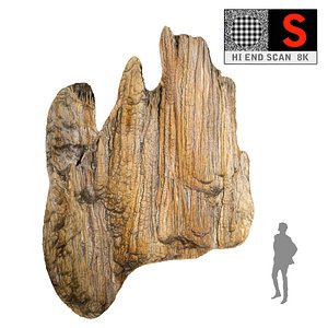 cave scan 8k 3D model