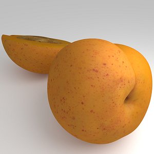 3d model apricots cutted