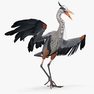 Avian Great Blue Heron Animated Rigged