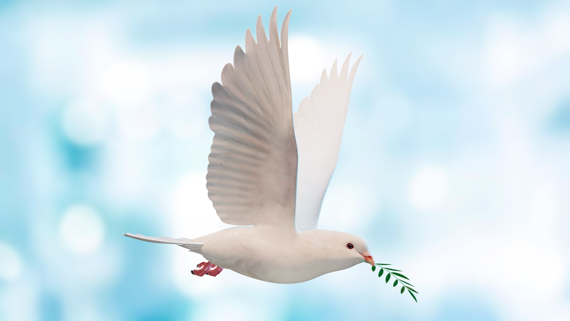3D Dove Flying Model - TurboSquid 2345716