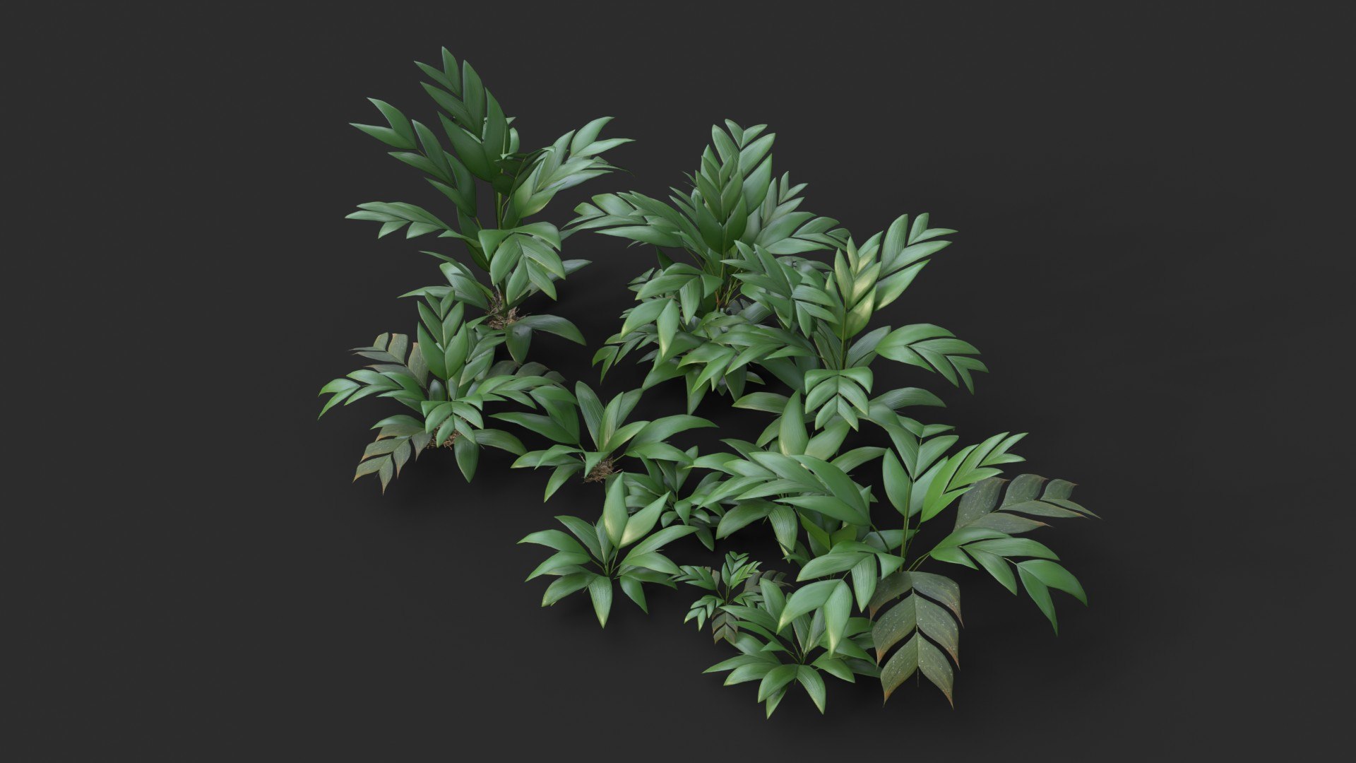 Modular Tasi Palm Trees - Geonoma Baculifera 3D model https://p.turbosquid.com/ts-thumb/Yw/He7jSs/lx/render_0010/jpg/1702324299/1920x1080/fit_q87/523ba52a42fbe0fbd64c7d892c42ad26625442a7/render_0010.jpg