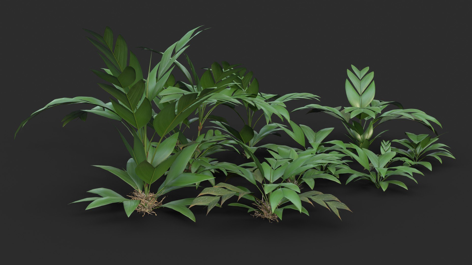 Modular Tasi Palm Trees - Geonoma Baculifera 3D model https://p.turbosquid.com/ts-thumb/Yw/He7jSs/zc/render_0040/jpg/1702324299/1920x1080/fit_q87/5171eeb0a598827ffefceaa4a4568e38d9e5e605/render_0040.jpg