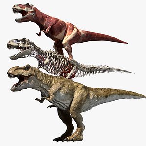 T Rex Anatomy 3D