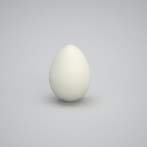 Egg 3D