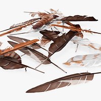 Mixed Bird Feathers Pile Multicolor
