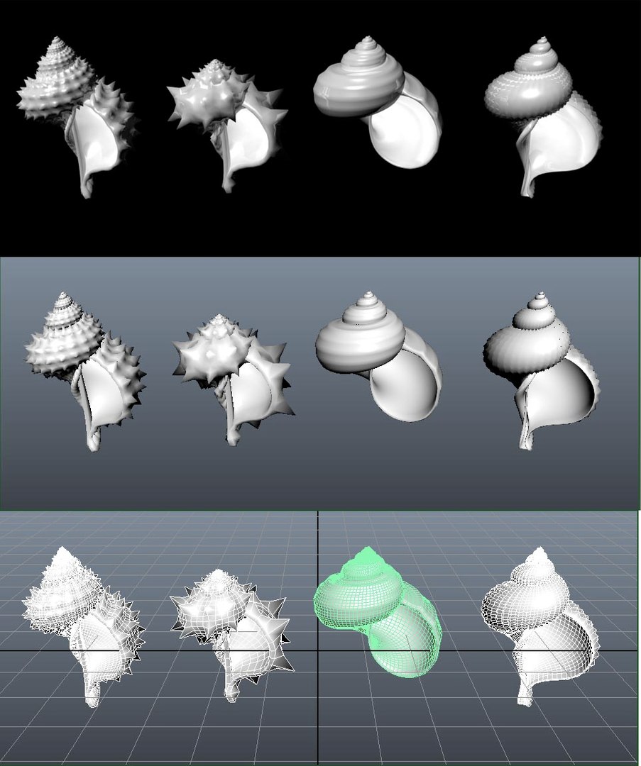 shells 3d fbx