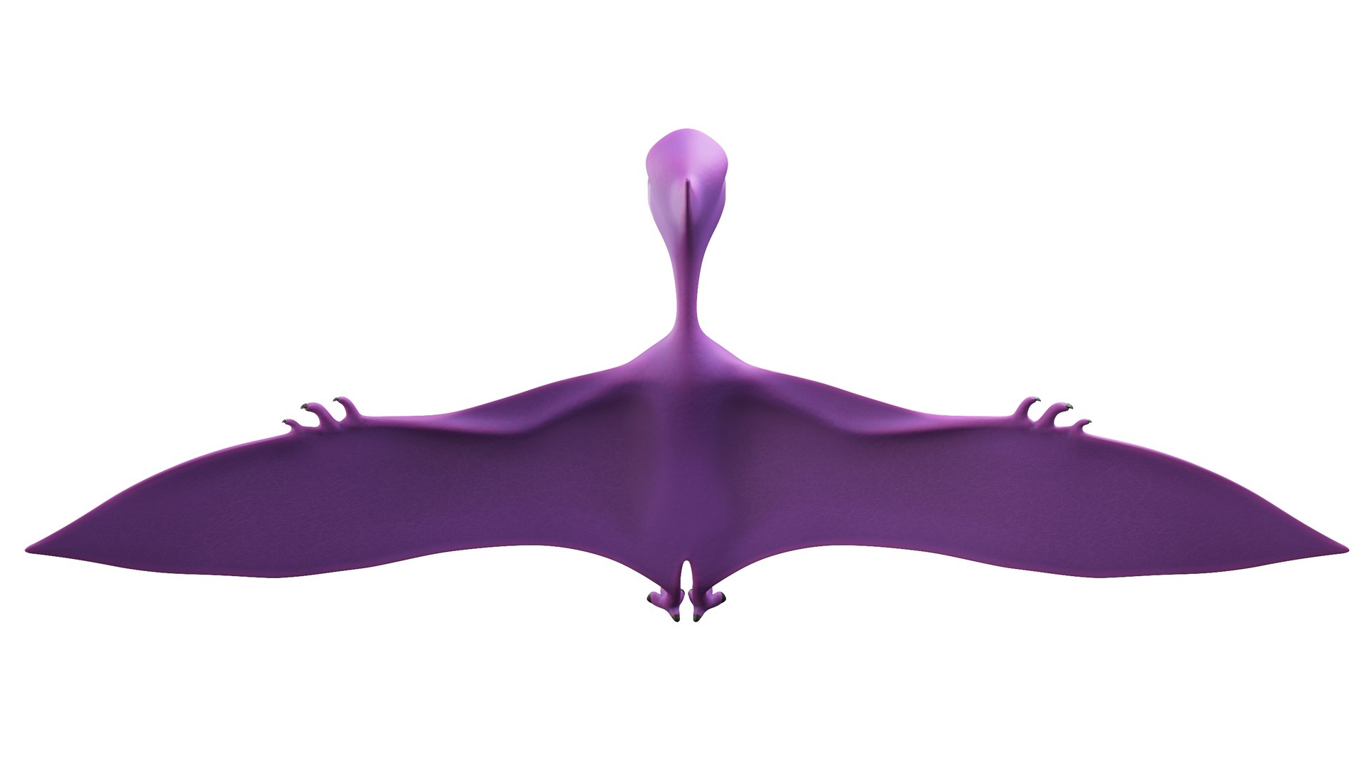 Cartoon Dinosaur Pterodactyl 3D model https://p.turbosquid.com/ts-thumb/Yw/nQ0oIW/hZ/terodaptyl0018/jpg/1675408395/1920x1080/fit_q87/1b19580f3d609a91786e56f6f882ab879355ebc8/terodaptyl0018.jpg