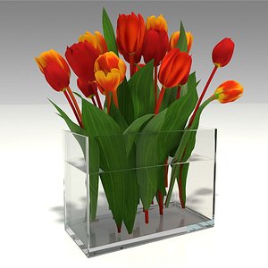 bouquet tulips glass vase model