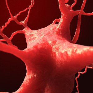 dendrite neuron cell 3D model