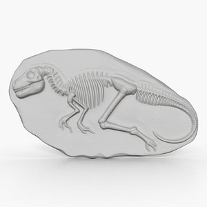 Dinosaur Fossil 002 3D model