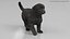 Labrador Retriever Puppy Fur Set Animated Rigged For Maya