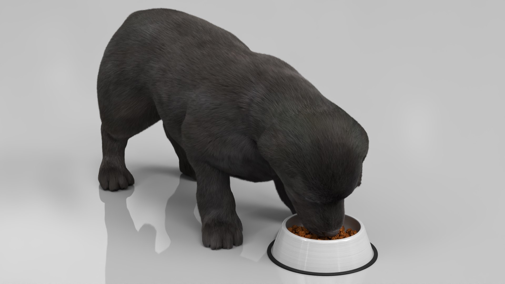 3D Labrador Retriever Puppy Fur Set Animated Rigged For Maya https://p.turbosquid.com/ts-thumb/Yx/PD6oNf/DQ/labrador_retriever_puppy_fur_set_animated_rigged_for_maya_006/jpg/1773780958/1920x1080/fit_q87/e30e21c092fbf4f28ccb7967fb621a8bebe9128b/labrador_retriever_puppy_fur_set_animated_rigged_for_maya_006.jpg